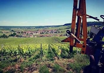 Le terroir du vignoble